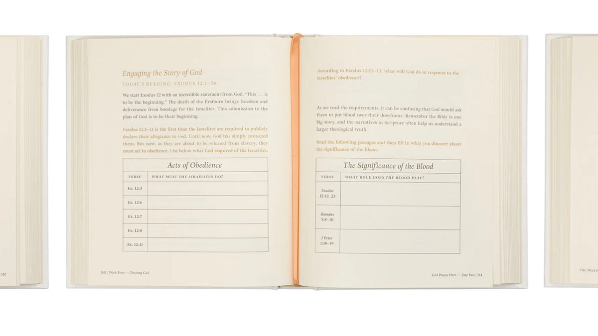 Beyond Egypt by Kari Minter - Bible Study image 5
