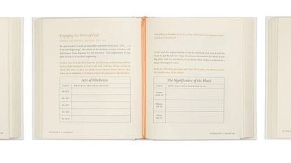 Beyond Egypt by Kari Minter - Bible Study image 5