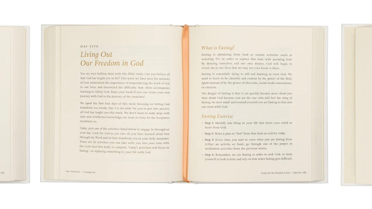 Beyond Egypt by Kari Minter - Bible Study image 7