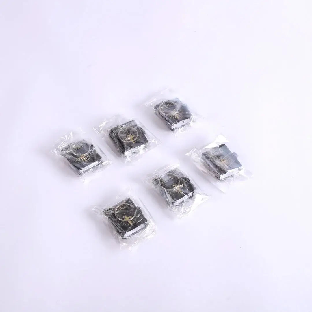 Mini Bible Keychain