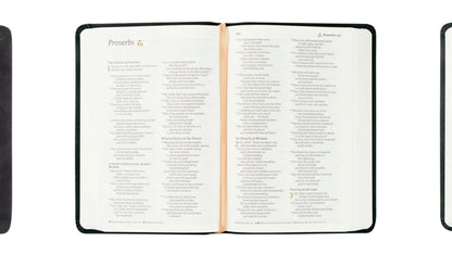 NLT Compact Bible - Jerusalem image 2