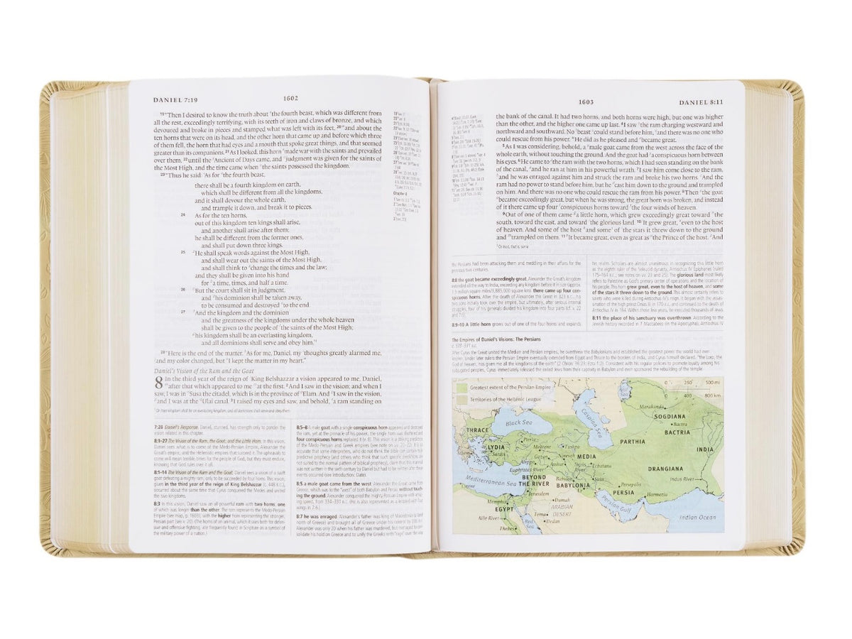 ESV Study Bible - Sonora image 5